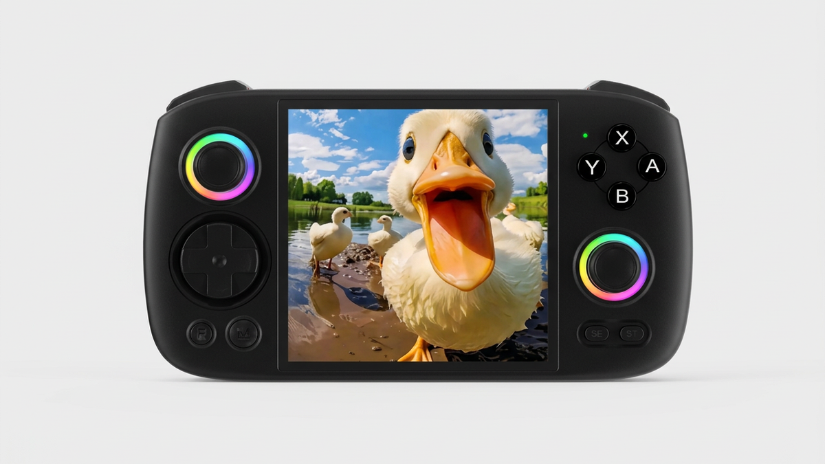 Black RG Cube reference illustration with a duck image, not Balatro gameplay