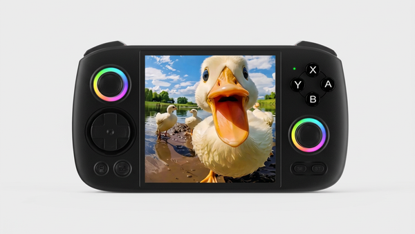 Black RG Cube reference illustration with a duck image, not Balatro gameplay